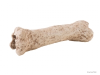 EXO TERRA kryjówka Dinosaur bone kość dinozaura