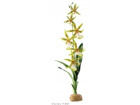 EXO TERRA Spider orchid 45cm storczyk