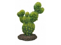 Roślina OPUNCJA kaktus 13cm