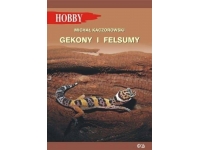 Gekony i felsumy M. Kaczorowski - książka HOBBY