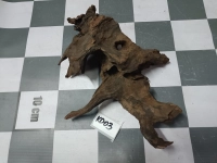 Korzeń driftwood 38x30 cm KD03