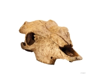 EXO TERRA Buffalo Skull czaszka bawoła duża