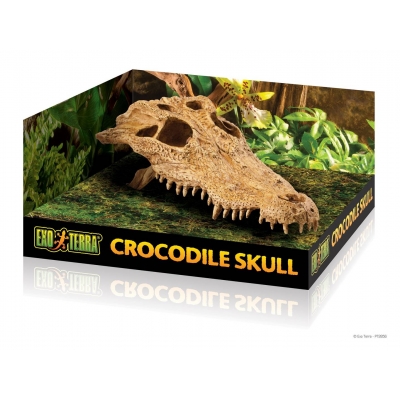 EXO TERRA Crocodile skull czaszka krokodyla DUŻA