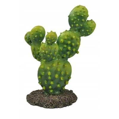 Roślina OPUNCJA kaktus 13cm