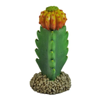 Roślina ECHINOPSIS kaktus 18cm