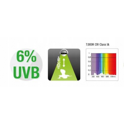 Świetlówka T5 Reptile Systems FOREST 6% UVB 54W 115cm