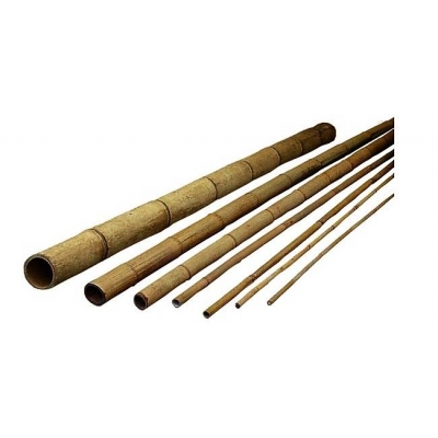 BAMBUS Tyczka bambusowa 10-12mm 100cm