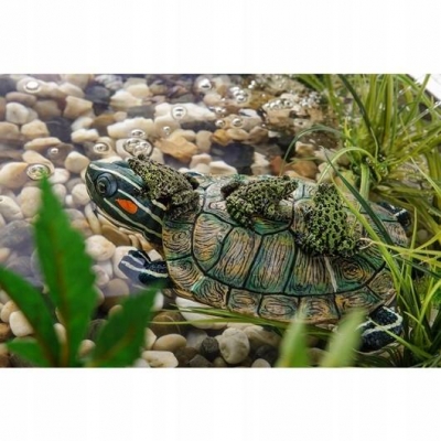 EXO TERRA ŻÓŁW Wyspa dla żółwia pływająca
