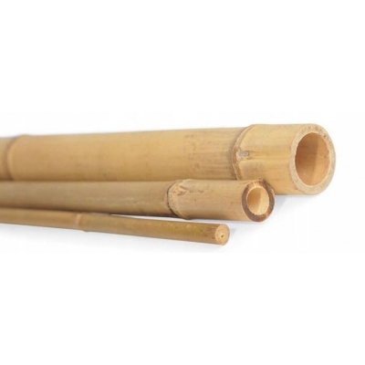 BAMBUS Tyczka bambusowa 30-35mm 80cm
