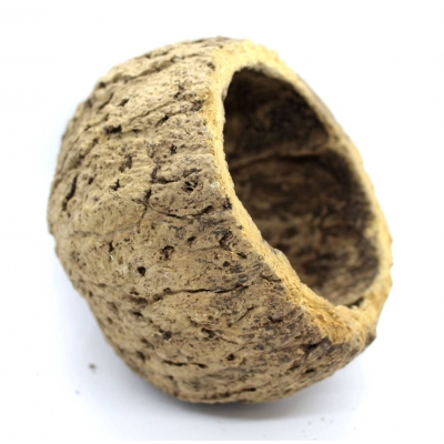 Łupina do terrarium URIKOS 8-10 cm kokos