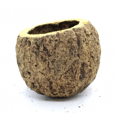 Łupina do terrarium URIKOS 6-8 cm kokos