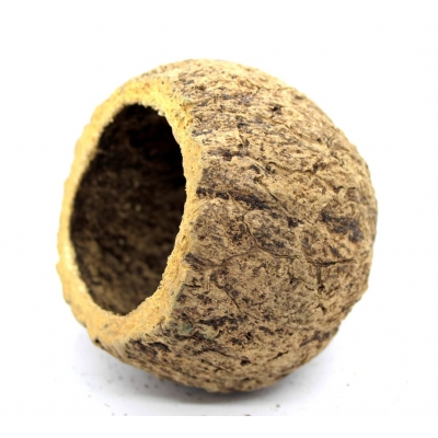 Łupina do terrarium URIKOS 6-8 cm kokos