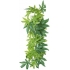 Roślina do terrarium TRIXIE ABULITION ganja 30cm