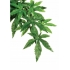 EXO TERRA ABULITON M roślina do terrarium 45cm