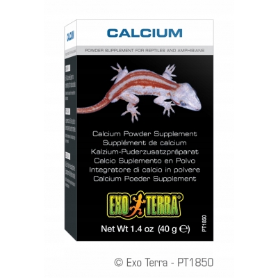 EXO TERRA Calcium 90g bez D3 wapno wapń